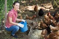 Farmer giving feeding stuff to chickens Royalty Free Stock Photo