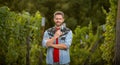 farmer going to cut grapes with gardening scissors, summer harvest