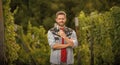 farmer going to cut grapes with gardening scissors, summer harvest