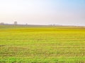 Farmer green field against the sky