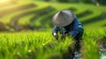 The farmer in green field.AI generated image Royalty Free Stock Photo