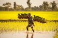 Farmer on green fields Royalty Free Stock Photo