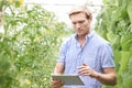 Farmer In Greenhouse Checking Tomato Plants Using Digital Tablet