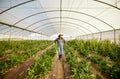 Farmer, greenhouse and happy agriculture woman in eco friendly business for environmental health. Carbon capture career