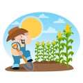 Farmer grows corn. Farming. Agricultural business