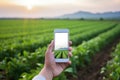 farmer hand hold mobile on agricultural field