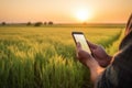 farmer hand hold mobile on agricultural field