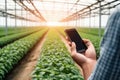 farmer hand hold mobile on agricultural field