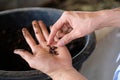 farmer hand holding earthworm. composting worm for producting compost manure Royalty Free Stock Photo