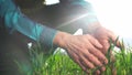 farmer hand. man farmer a working in the field inspects the crop wheat germ industry eco natural a farming. business Royalty Free Stock Photo