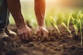 farmer hand planting seed