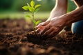 farmer hand planting seed in agricultural field