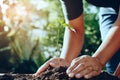 farmer hand planting tree in gardren for save world Royalty Free Stock Photo