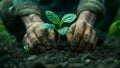 Farmer hand planting the young tree while working in the garden,,Ecology concept Royalty Free Stock Photo