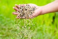 Farmer hand pouring plant chemical fertilizer