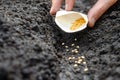 Farmer hand soil sowing seed packet. Sowing season planting seed bags. Farm hand seeds soiled hands gardener gardening