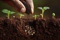 Farmer hand sowing seeds of vegetable on prepared soil. Gardening and Agriculture concept. Generative AI