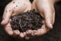 Farmer hands holding Fertile soil and earthworms Royalty Free Stock Photo