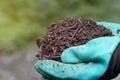 Farmer hands holding Fertile soil Royalty Free Stock Photo