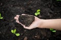 Farmer hands holding soil organic Royalty Free Stock Photo