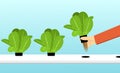 Farmer harvest hydroponics plants in vector design