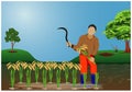 Farmer harvest rice Royalty Free Stock Photo