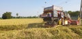 Farmer are Harvesting rice field by harvest machine Royalty Free Stock Photo