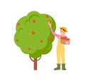 Farmer Harvesting Season Icon Vector Illustration