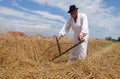 Farmer harvesting wheat with scythe Royalty Free Stock Photo