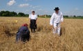 Farmer harvesting wheat with scyth Royalty Free Stock Photo