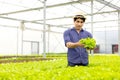 A farmer harvests veggies from a hydroponics garden. organic fresh grown vegetables and farmers laboring in a greenhouse with a