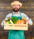 Farmer hipster straw hat deliver fresh vegetables. Fresh vegetables delivery service. Fresh organic vegetables box. Man Royalty Free Stock Photo