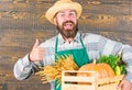 Farmer hipster straw hat deliver fresh vegetables. Man cheerful bearded farmer wear apron presenting vegetables box Royalty Free Stock Photo