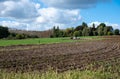 Farmer with his cattle at a cropped land, Asse