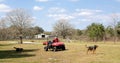 Farmer & His Dogs Royalty Free Stock Photo