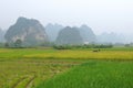 Mountain Rice Farm Royalty Free Stock Photo