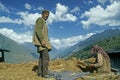 Farmer and his Wife cleaning Rajgira or Amaranth grain upper Bharmour