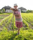 Farmer hoeing vegetable garden Royalty Free Stock Photo