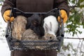 Farmer holding basket with rabbits. Farm animals. Royalty Free Stock Photo