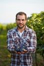 Farmer holding blue grapes Royalty Free Stock Photo