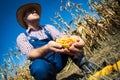 Farmer holding corn cob in hand in corn field Royalty Free Stock Photo