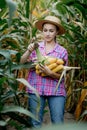 Farmer holding corn cobs in hand in corn field Royalty Free Stock Photo