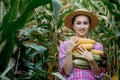Farmer holding corn cobs in hand in corn field Royalty Free Stock Photo