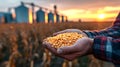 Farmer holding corn kernels in front of grain silos at sunset Royalty Free Stock Photo