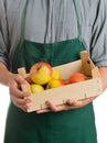 Farmer holding crate with fresh harvested apples