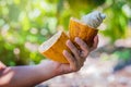 Farmer holding a fresh cacao pods Royalty Free Stock Photo