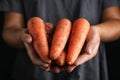 Farmer holding fresh ripe carrots, closeup view Royalty Free Stock Photo