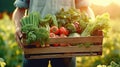 A farmer holding freshly harvested vegetables in wooden crate. Other farmer behind him working in farm