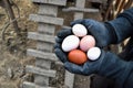 Farmer holding in hands fresh hen eggs on barnyard