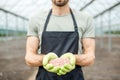 Farmer holding mineral fertilizers Royalty Free Stock Photo